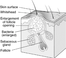 Patricia Wong, M.D